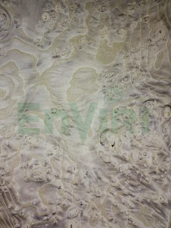 Mystical Violet - White Ash Burl (EB-1)