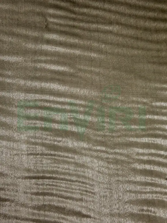 Loam Forest - Figured Sycamore (WD-202)